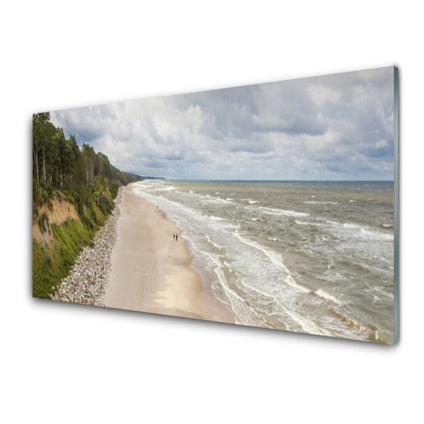 Steklena slika Plaža morje tree narava