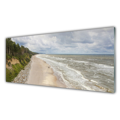 Steklena slika Plaža morje tree narava