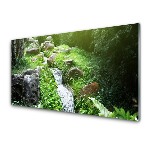 Steklena slika Stream grass nature rastlin