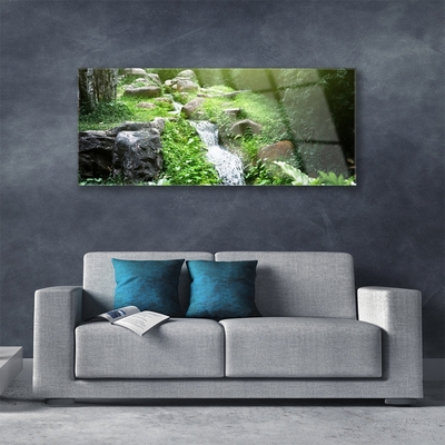 Steklena slika Stream grass nature rastlin