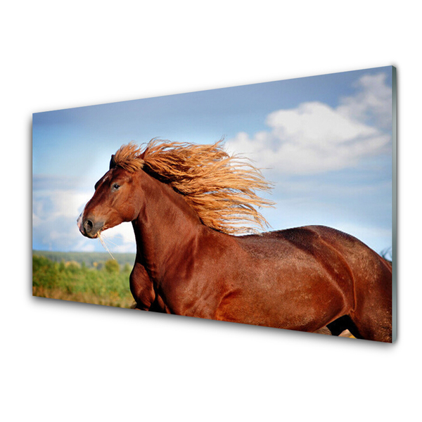 Steklena slika Konj živali
