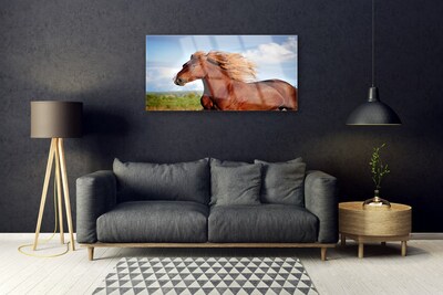 Steklena slika Konj živali