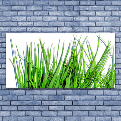 Steklena slika Grass on wall