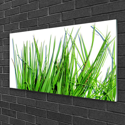 Steklena slika Grass on wall