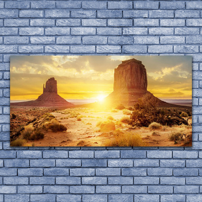 Steklena slika Desert sun landscape