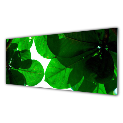Steklena slika Listi na zidu