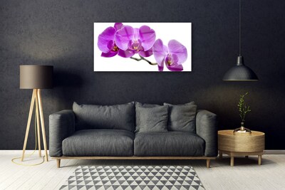 Steklena slika Rože na steni