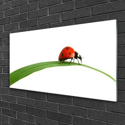 Steklena slika Ladybug narava