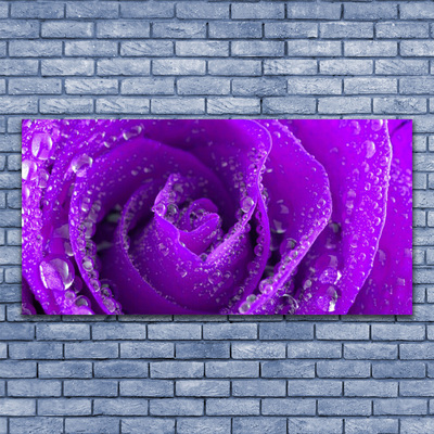 Steklena slika Rose flower rastlin