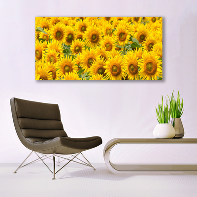 Steklena slika Sončnica rastlin narava