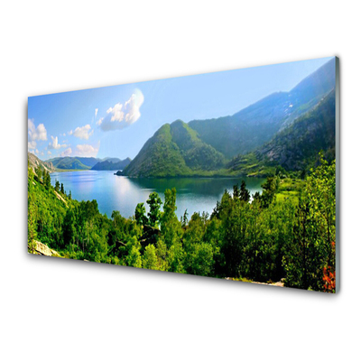 Steklena slika Forest lake gore landscape