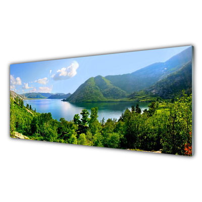 Steklena slika Forest lake gore landscape
