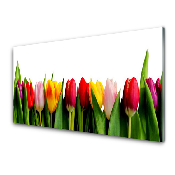 Steklena slika Rastlin tulipani