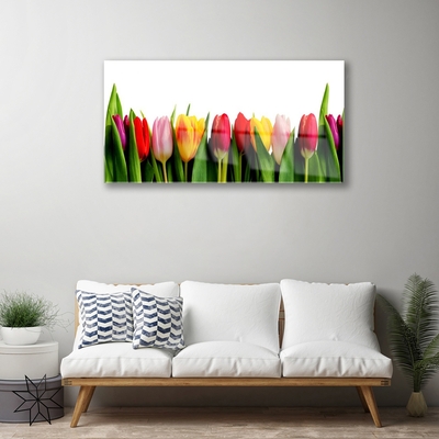 Steklena slika Rastlin tulipani