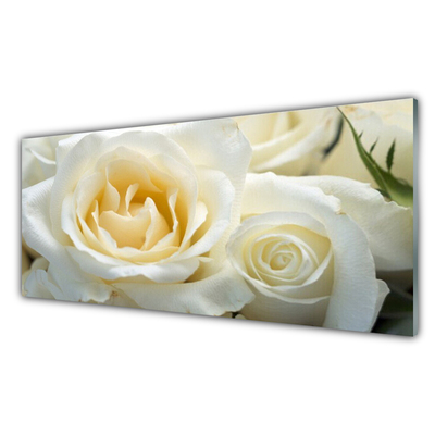 Steklena slika Vrtnice cvetje