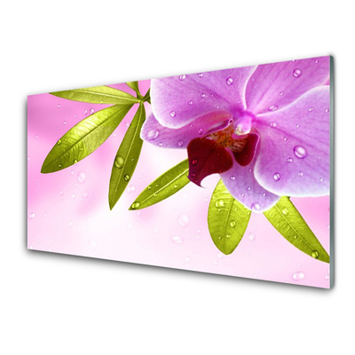 Steklena slika Flower listih rastlin