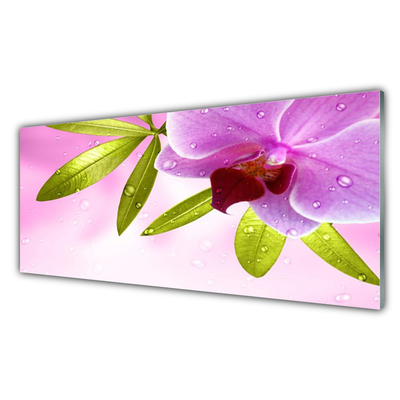 Steklena slika Flower listih rastlin