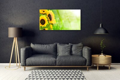 Steklena slika Rastlinski sončnice