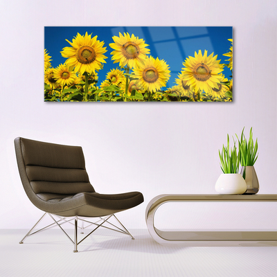 Steklena slika Rastlinski sončnice