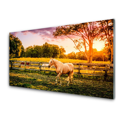 Steklena slika Horse meadow narava živali