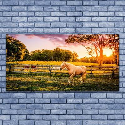 Steklena slika Horse meadow narava živali
