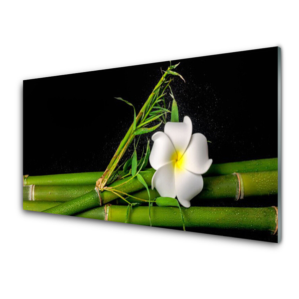 Steklena slika Bamboo flower rastlin