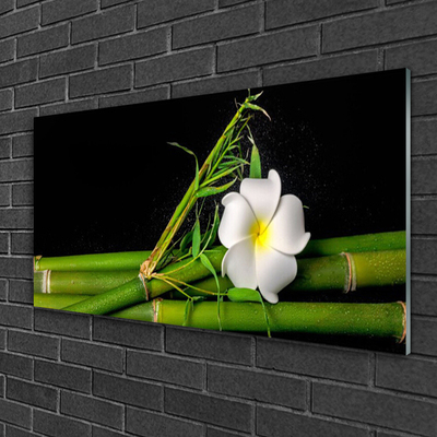 Steklena slika Bamboo flower rastlin