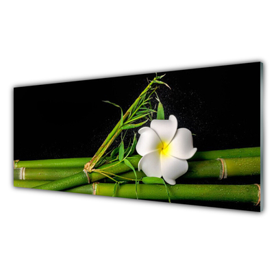 Steklena slika Bamboo flower rastlin