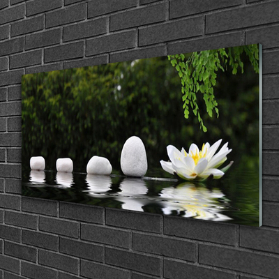 Steklena slika Lotus flower water lily