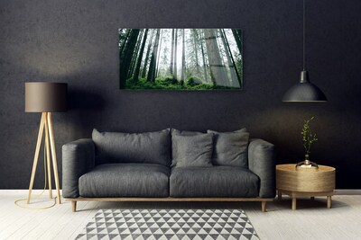 Steklena slika Narava gozdnega drevja