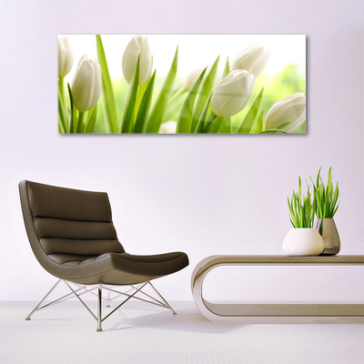 Steklena slika Tulipani cvetje