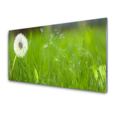 Steklena slika Dandelion grass rastlin