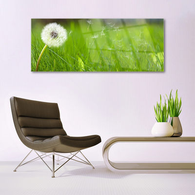 Steklena slika Dandelion grass rastlin