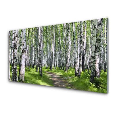 Steklena slika Gozdna drevesa narava pot
