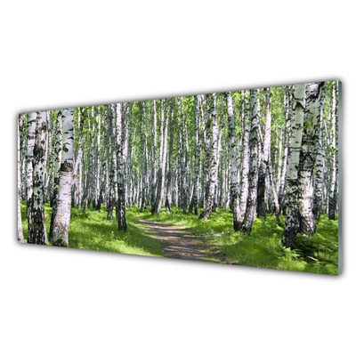 Steklena slika Gozdna drevesa narava pot