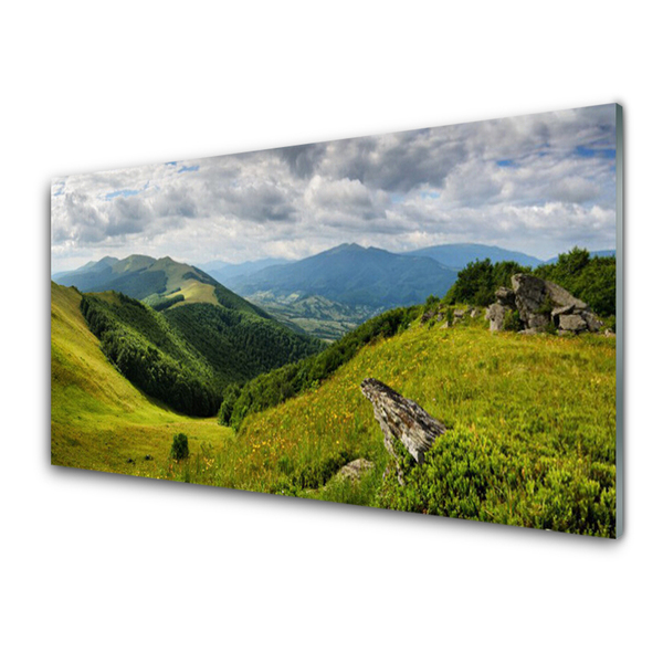 Steklena slika Mountain travnik landscape