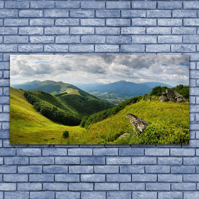 Steklena slika Mountain travnik landscape