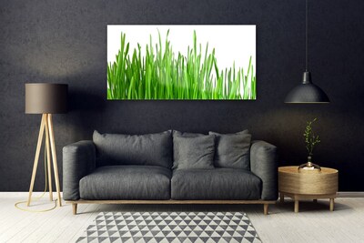 Steklena slika Grass nature rastlin