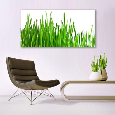 Steklena slika Grass nature rastlin