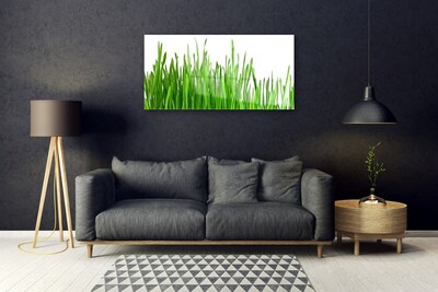 Steklena slika Grass nature rastlin