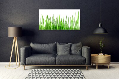 Steklena slika Grass nature rastlin