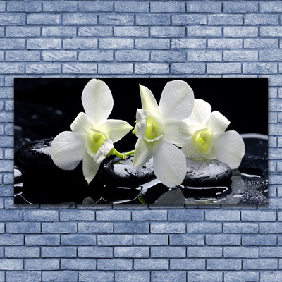 Steklena slika Bela orhideja cvet