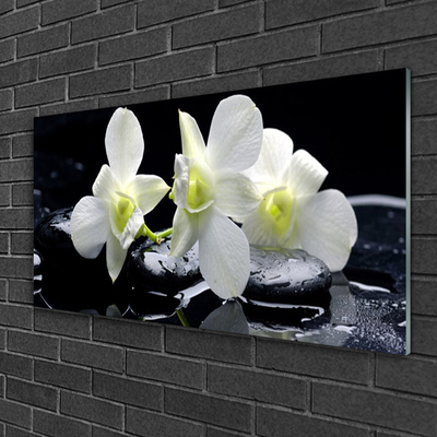 Steklena slika Bela orhideja cvet