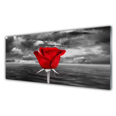 Steklena slika Rose flower rastlin morje