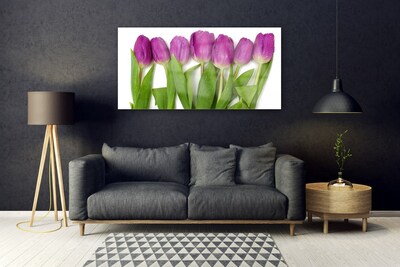 Steklena slika Tulipani cvetovi rastlin