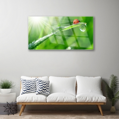 Steklena slika Grass pikapolonica narava