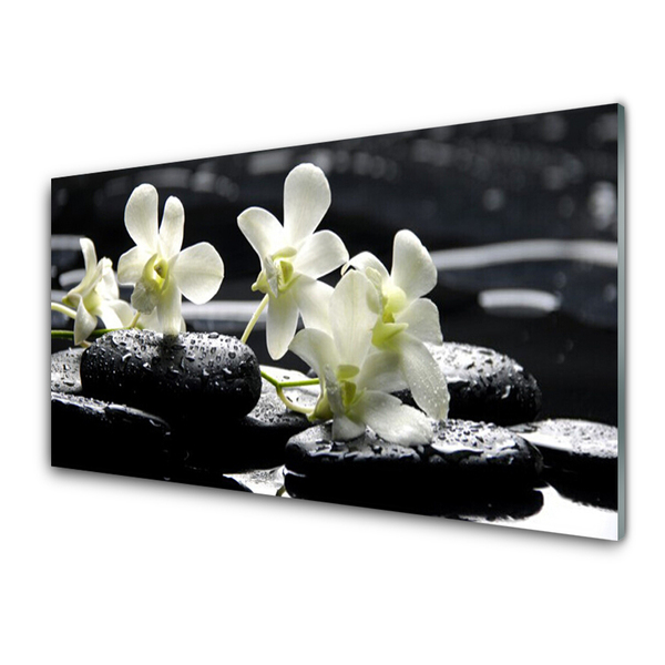 Steklena slika Stones orhidejo rastlin