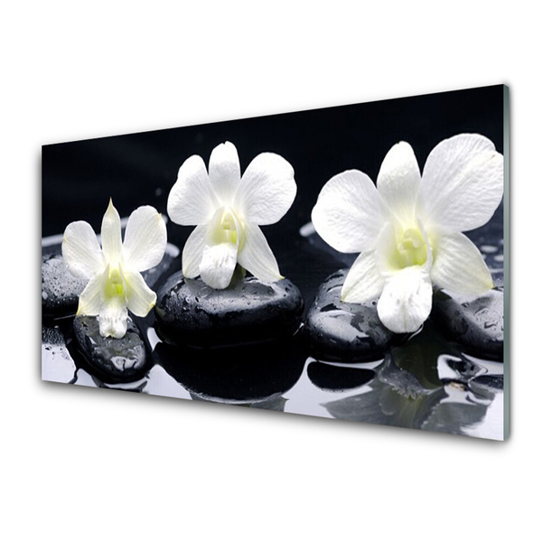 Steklena slika Orchid rastlin stones
