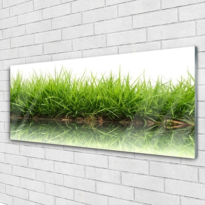 Steklena slika Grass nature voda rastlin