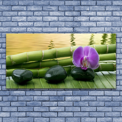 Steklena slika Flower stones bamboo narava